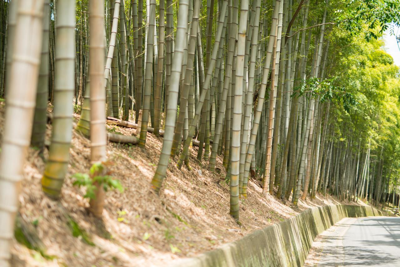 Kyoto Chikuan Apartment Ngoại thất bức ảnh